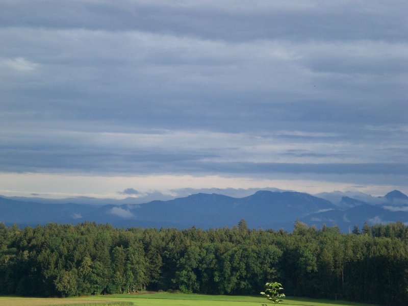 Bild 014.jpg