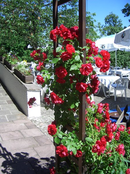 Bild_07.jpg